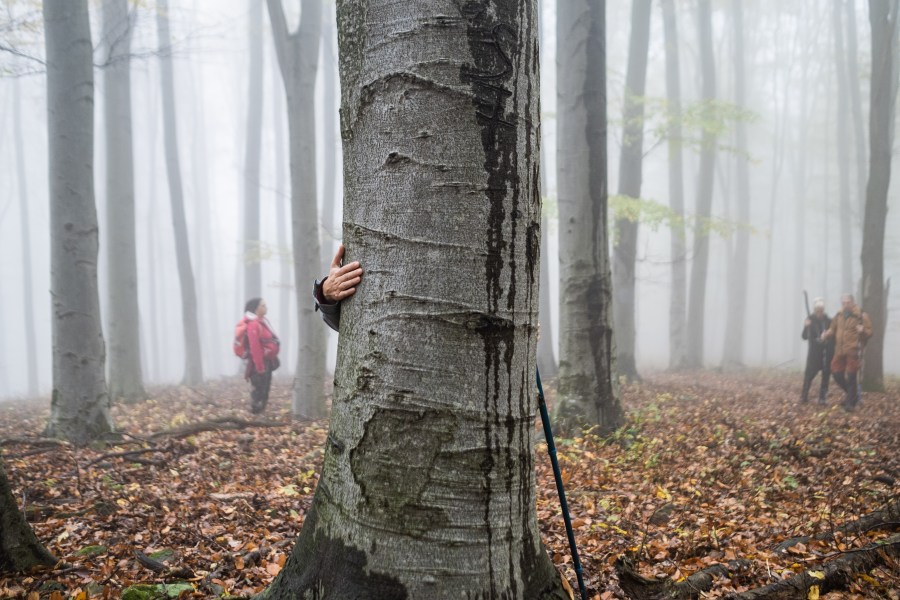 Spiritual self-discovery hike in silence